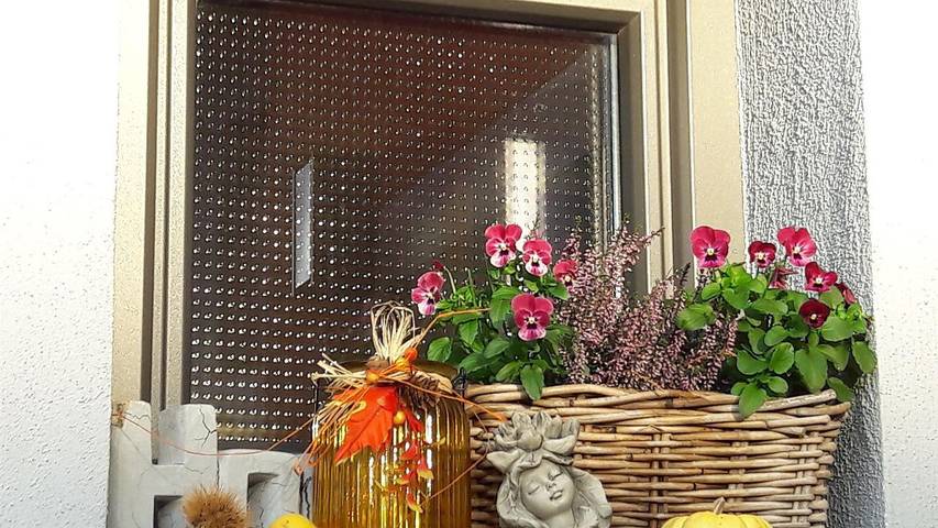 Ferienwohnung für 5 Personen, mit Garten in Losheim am See - 4