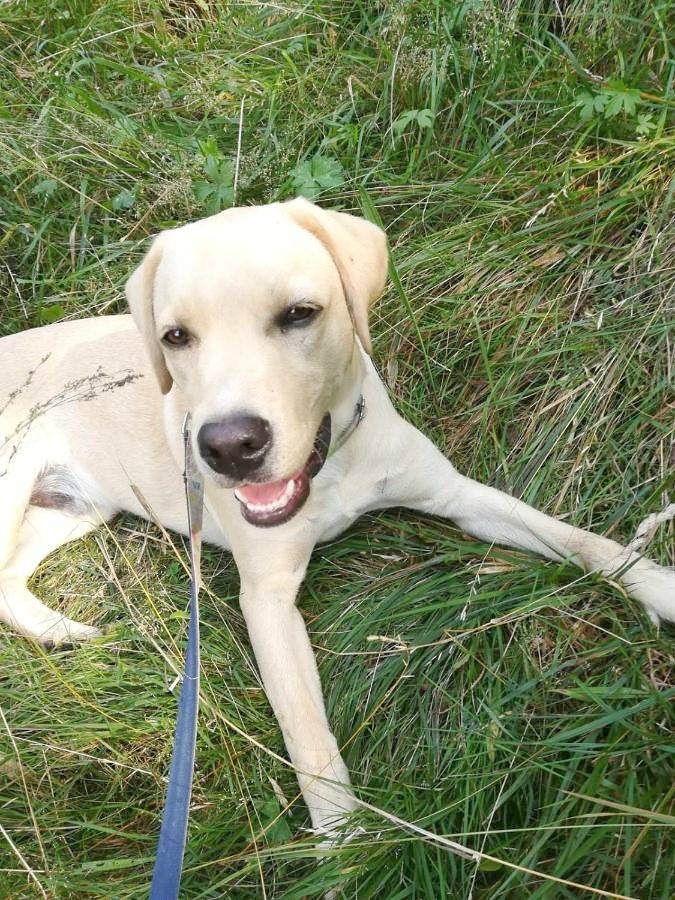 Location de vacances pour 2 personnes, avec jardin dans Pont-Saint-Martin (Aosta) - 2