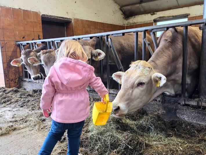 Bauernhof für 4 Personen, mit Garten, kinderfreundlich - 1