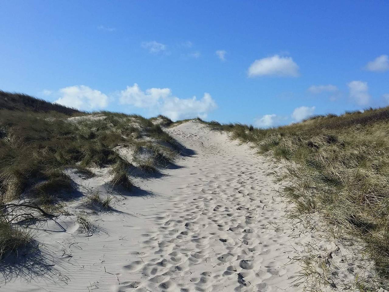 6 Personen Ferienhaus in Ringkøbing in Lodbjerg Hede, Ringkøbing