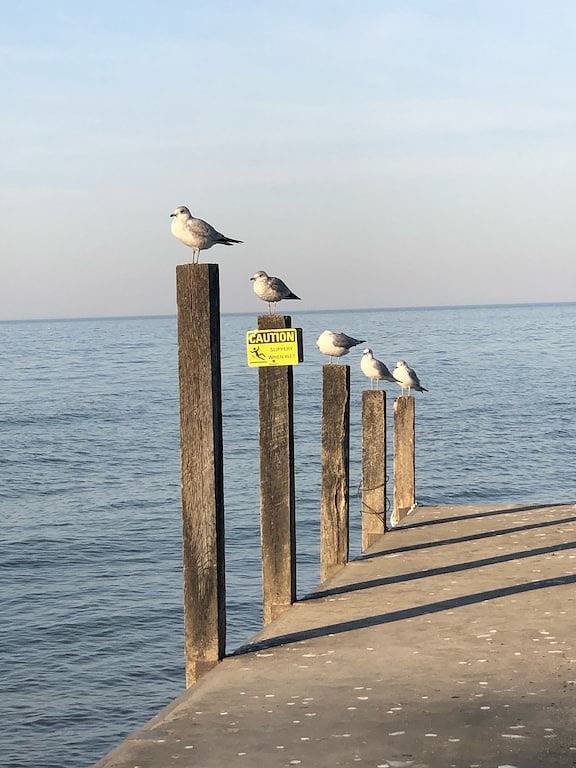 Stilvoll! Zentrale Luft / Wärme. Gratis Wifi. Gehe zum Strip! Renovierter Juni 2018 in Geneva-on-the-Lake, Ashtabula County