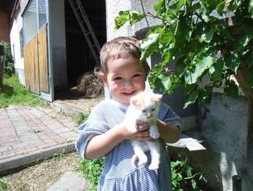 Bauernhof für 3 Personen in Vorderstoder, Steyr-Kirchdorf, Bild 4