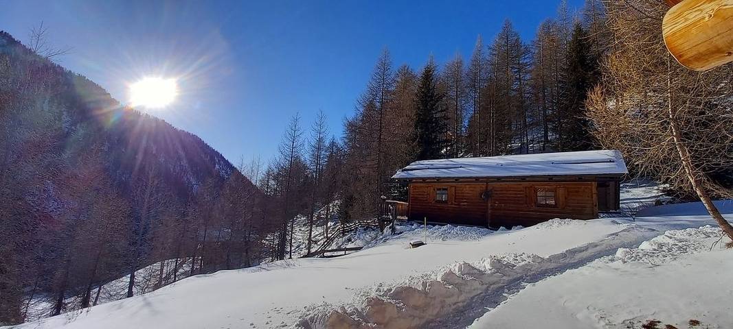 Almwiesenhütte in Asten (Mörtschach), Mörtschach