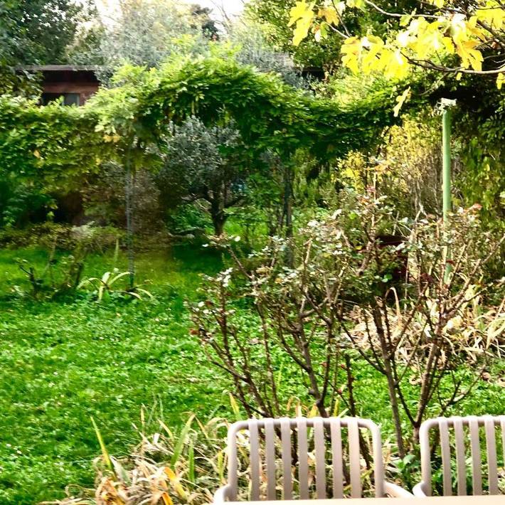 Location de vacances pour 2 personnes, avec jardin à Thonon-les-Bains - 3