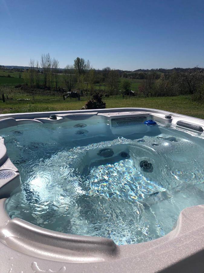 Location de vacances pour 12 personnes, avec Jacuzzi et Terrasse ainsi que Jardin et Piscine à Baleyssagues - 3