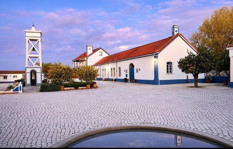 Bungalow para 11 pessoas, com piscina e jardim em Distrito de Santarém