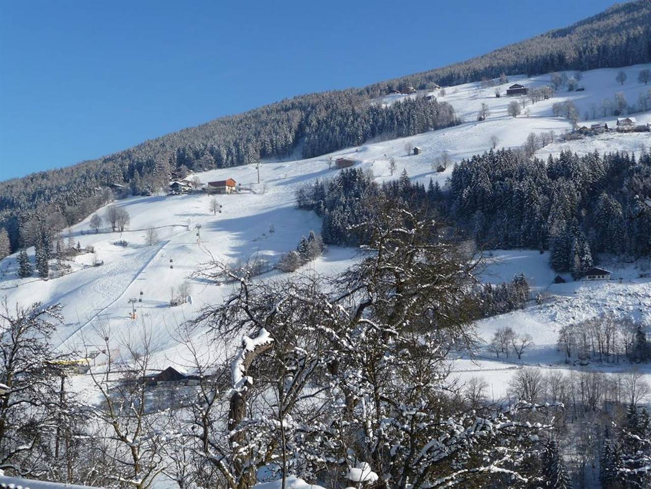 Ganze Ferienwohnung, Steinwenderhof - Appartement, 1 Schlafraum, 1x Dusche/Wc in Rohrmoos, Schladming-Dachstein