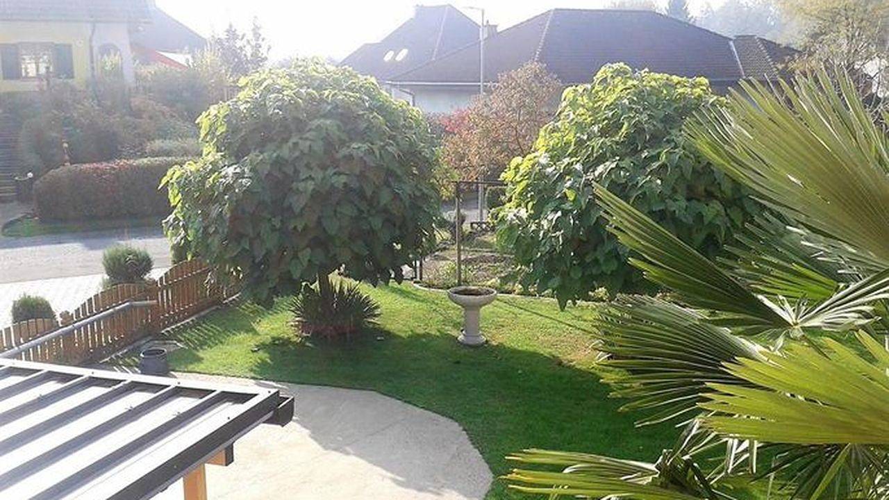 Ganze Ferienwohnung, Ferienwohnung für 2 Personen (14 m²) in Halbenrain in Südoststeiermark, Halbenrain