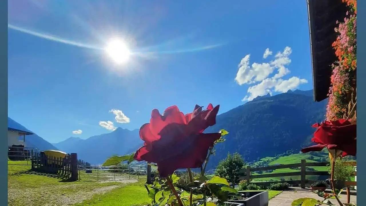 Ganze Ferienwohnung, Ferienwohnung für 6 Personen in Neustift im Stubaital in Stubaier Alpen, Neustift im Stubaital