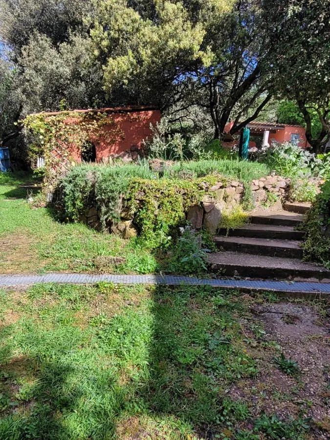 Apartamento de vacaciones para 2 personas, con jardín y terraza - 1