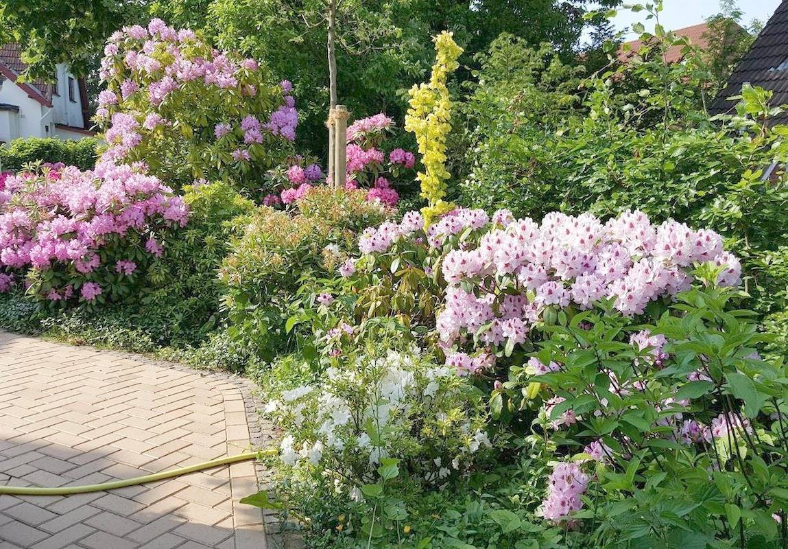 Ganze Ferienwohnung, Utlande in St. Peter-Bad, St. Peter-Ording