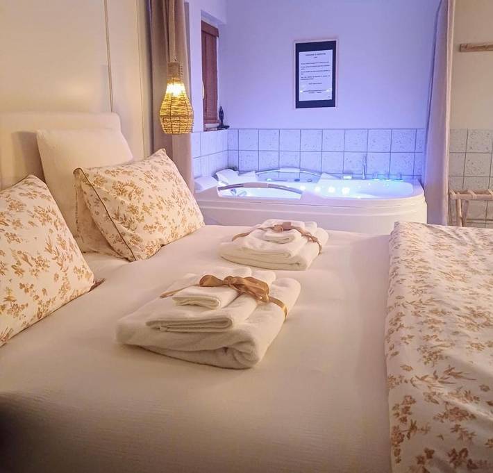 Location de vacances pour 4 personnes, avec jardin et jacuzzi à Theizé