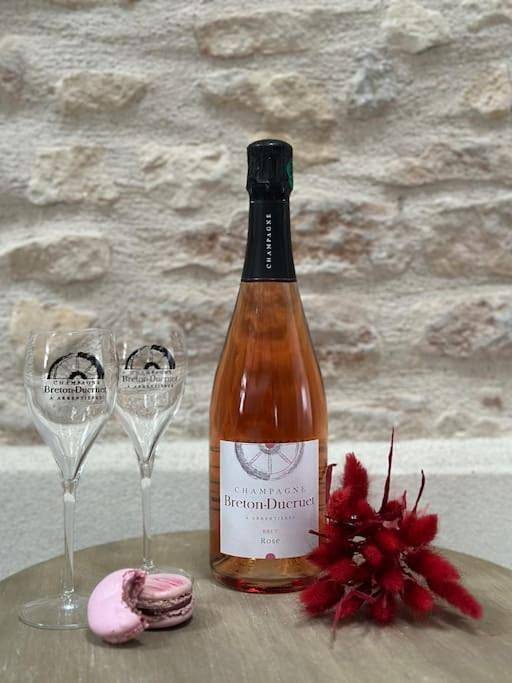 Gîte pour 4 personnes, avec terrasse à Arrentières - 3