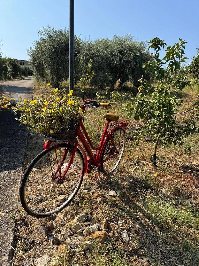 Location de vacances pour 4 personnes, avec jardin et vue à Campofelice di Roccella - 4