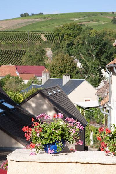 Gîte Anthocyane in Bué, Région de Bourges