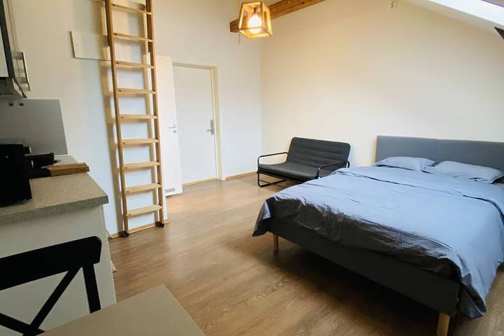 Appartement entier, Torggata Apartments Oslo- Romslig Hel-studio Leilighet Midt i Oslo Sentrum in St. Hanshaugen, Oslo métropole