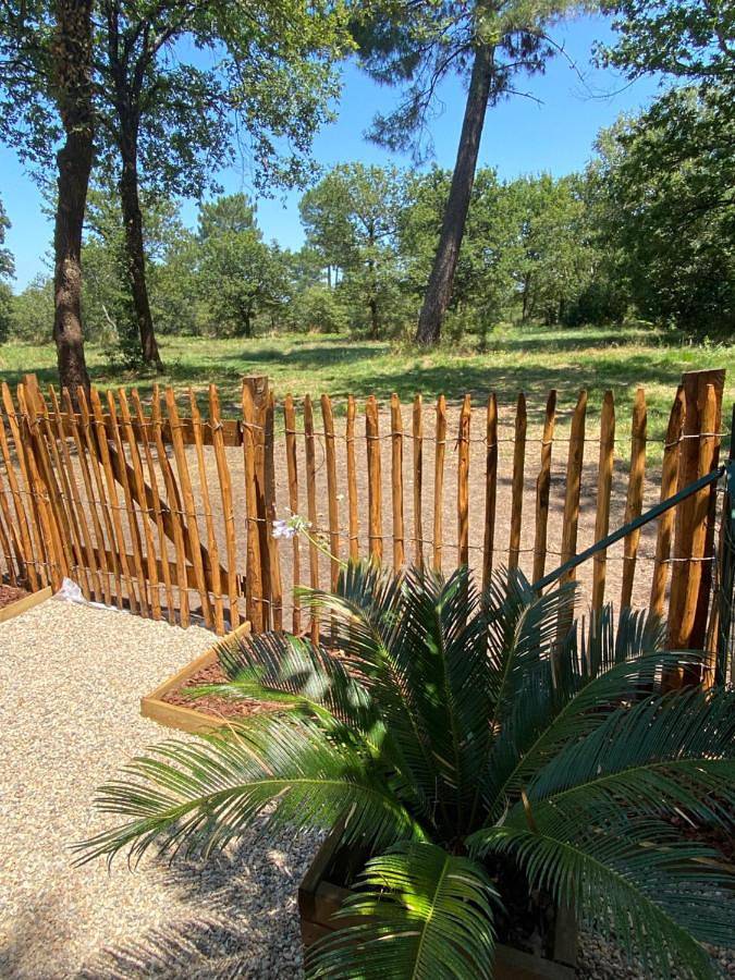 Camping pour 4 personnes, avec vue et jardin à La Teste-de-Buch - 3