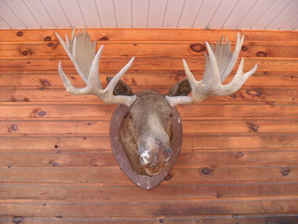 Lodge for 20 Guests in Lake Huron ON, Ontario