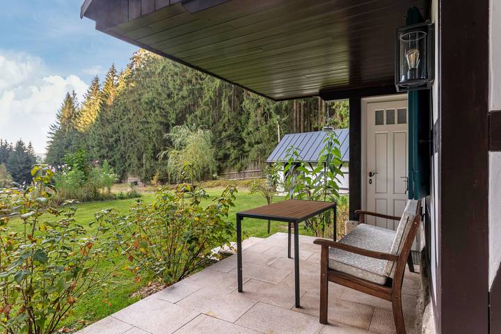 Holiday Home 'Waldhaus' with Mountain View, Shared Terrace and Wi-Fi in Adorf, Chemnitz (region)