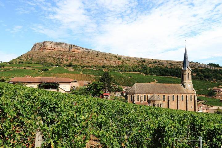 Location de vacances pour 13 personnes, avec jacuzzi et piscine ainsi que terrasse et jardin, animaux acceptés à Prissé - 3