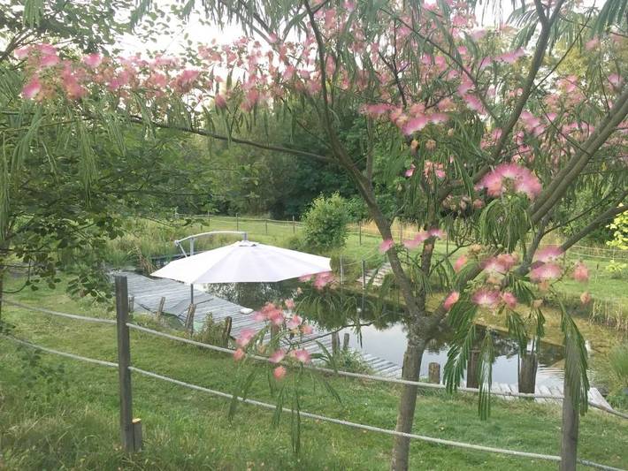 Chambre d’hôte pour 14 personnes, avec Jacuzzi et Terrasse ainsi que Jardin et Piscine