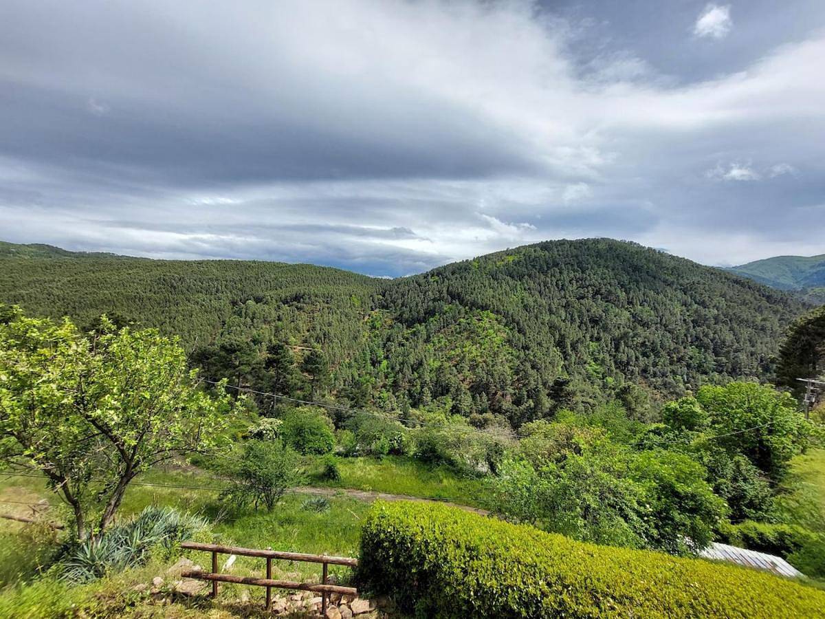 Mas Mélarède, an oasis of comfort in wild nature in Sainte-Cécile-d'Andorge, Parc national des Cévennes