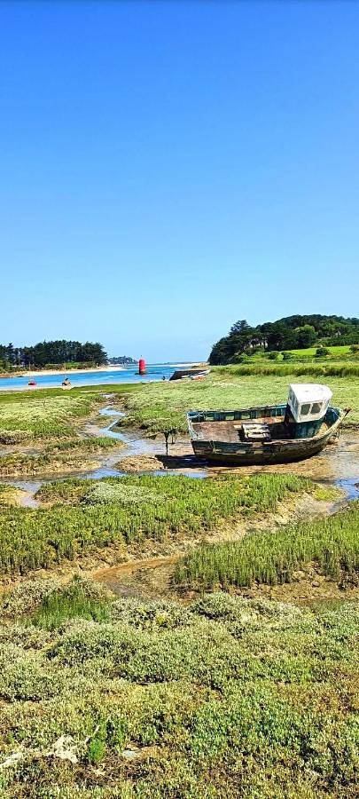 Location de vacances pour 2 personnes, avec vue ainsi que terrasse et jardin à Ploumilliau - 4