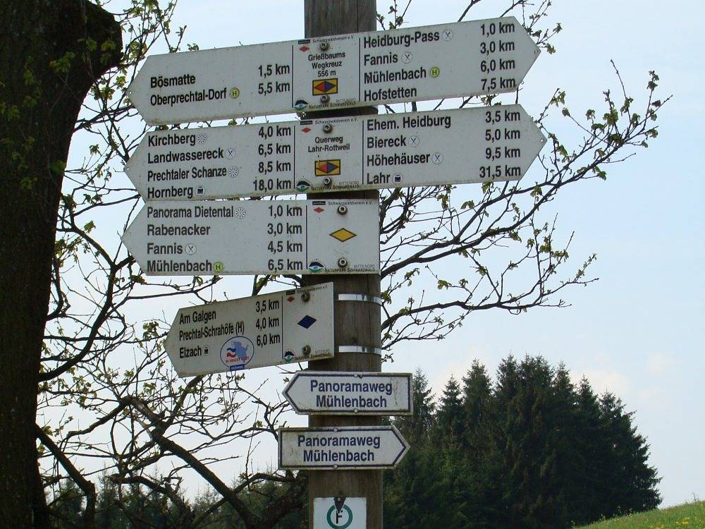 Jungbauernhof - Ferienwohnung Hof in Mühlenbach, Mittlerer Schwarzwald