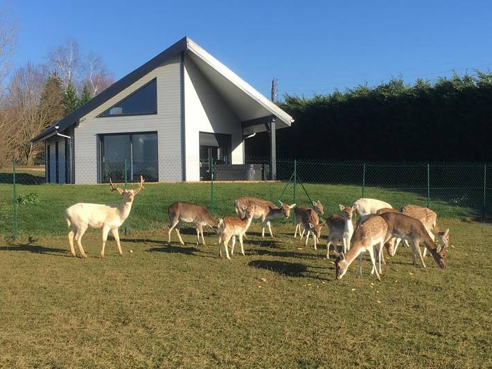 Gîte pour 5 personnes, avec Jacuzzi et Terrasse ainsi que Jardin et Vue à Bersaillin