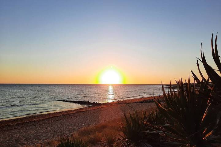 Maison de vacances pour 12 personnes, avec jardin, animaux acceptés - 1