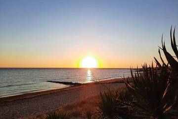 Location de vacances pour 12 personnes, avec jardin, animaux acceptés dans La Cotinière