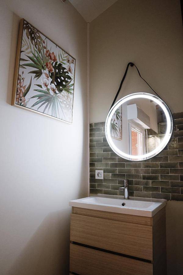 Appartement entier, One-Bedroom Apartment in Mâcon, Région de Mâcon
