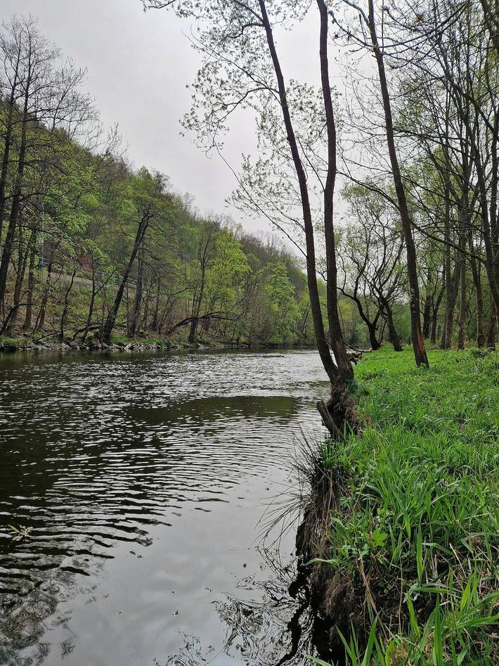 Ferienwohnung für 6 Personen, mit Balkon in Saalfeld/Saale - 2