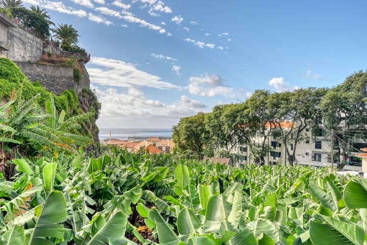Casa de férias para 4 pessoas, com varanda e vista para o mar no Funchal