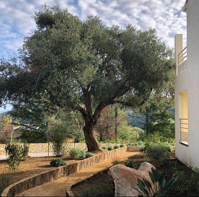 Location de vacances pour 6 personnes, avec piscine ainsi que vue et jardin à Santa-Reparata-di-Balagna - 3