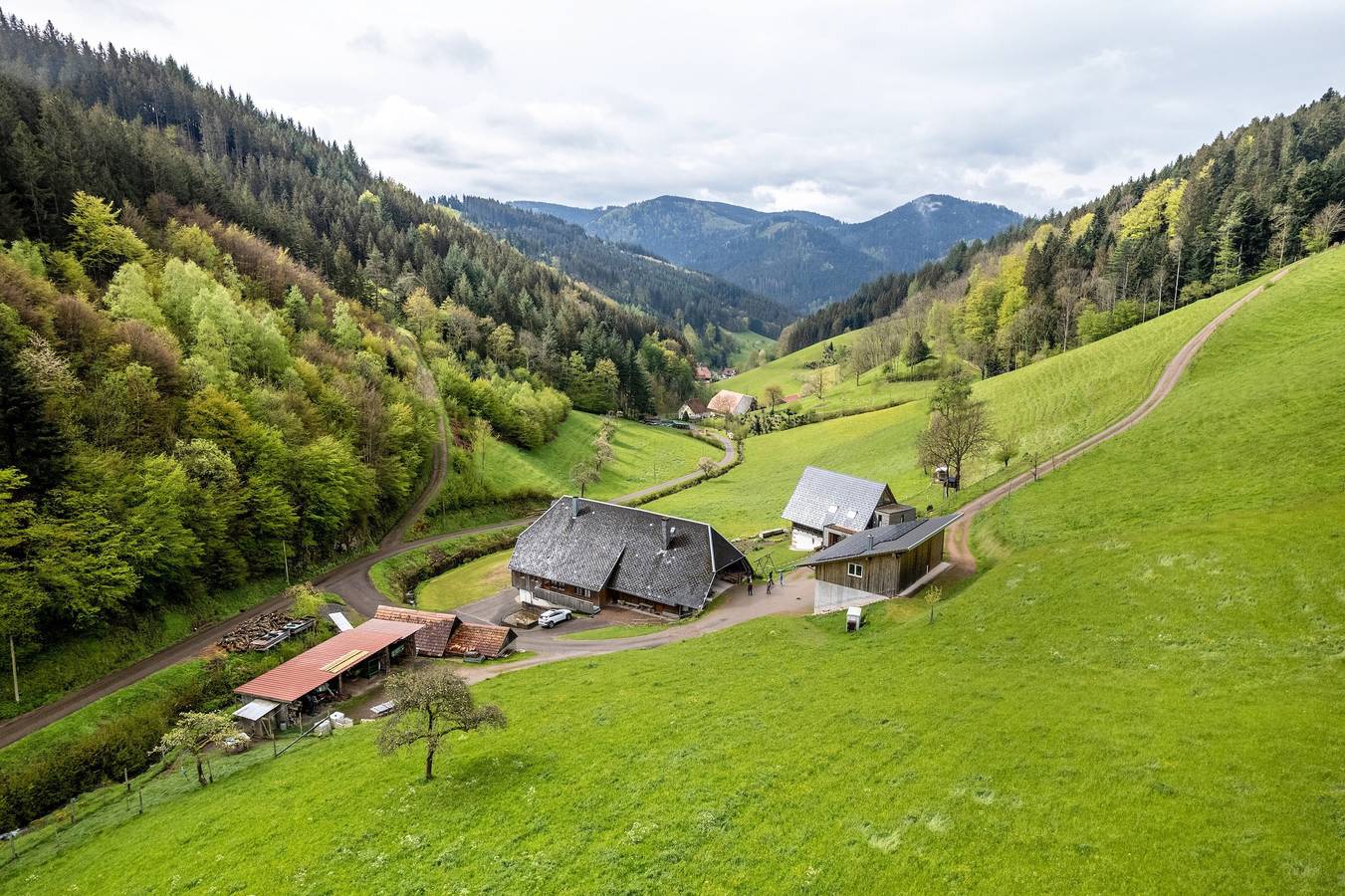 Bauernhof für 4 Personen in Wolfach, Mittlerer Schwarzwald
