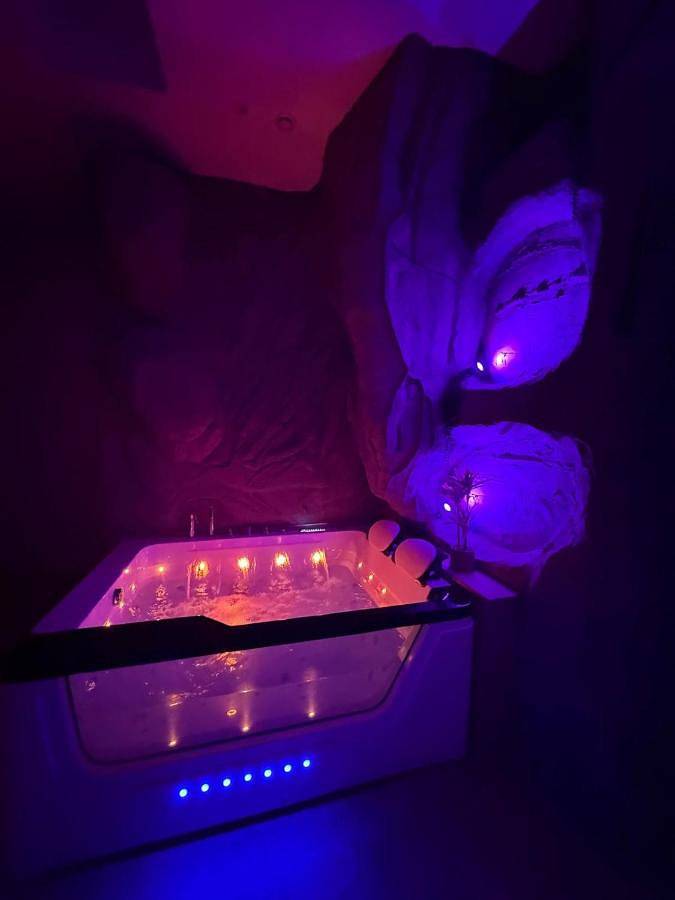 Gîte pour 2 personnes, avec terrasse ainsi que jacuzzi et sauna dans Office de Tourisme de Sélestat - 2