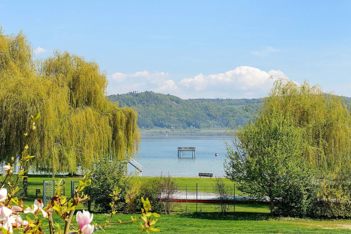 Ganze Wohnung, Deluxe-Apartment Aachhorn mit Seeblick, Balkon und Wi-Fi, mit Grillmöglichkeit, 65qm in Bodman in Bodman-Ludwigshafen, Obersee (Bodensee)