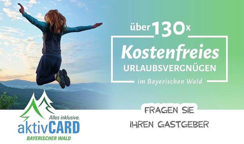 Ferienhaus für 4 Personen, mit Terrasse und Sauna sowie Garten, mit Haustier in Landkreis Straubing-Bogen - 3