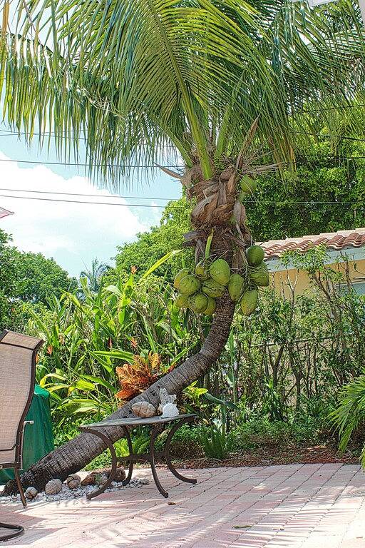 Vacation rental for 8 people, with yard and hot tub in Deerfield Beach