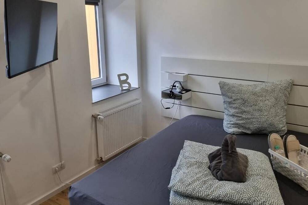 Ganze Wohnung, City Central Apartment House - Apt 2 in Kaiserslautern, Saar-Nahe-Bergland