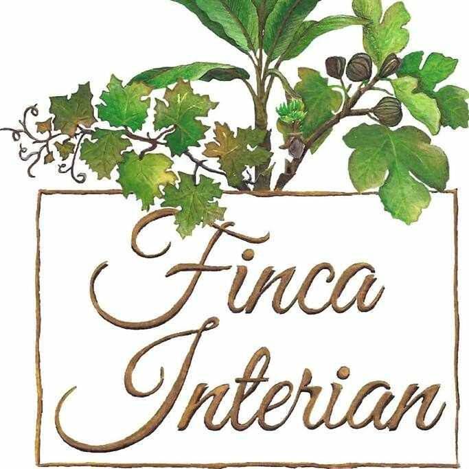 Casa rural para 4 personas, con Balcón además de Terraza y Jardín en Garachico - 2