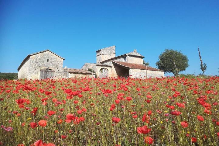 Maison de vacances pour 5 personnes