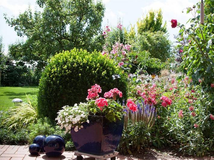 Ferienwohnung für 2 Personen, mit Terrasse und Garten, kinderfreundlich in Walsrode - 4