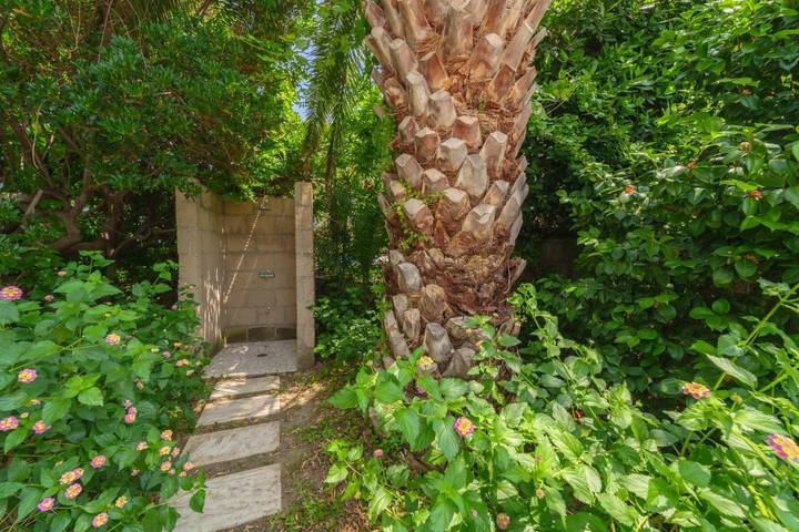 Hotel für 5 Personen, mit Whirlpool und Pool sowie Garten und Sauna, mit Haustier in Sant'Andrea - 4