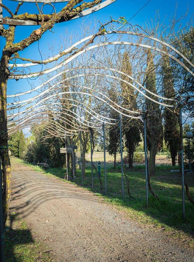 Privatzimmer für 2 Personen, mit Garten und Pool, mit Haustier in Vada - 4