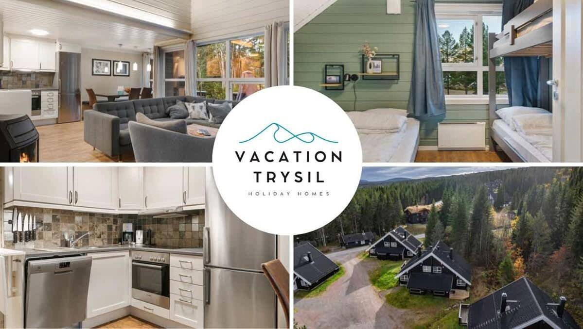 Ab38- Large family cabin on Alpingrenda close to the slopes in Innbygda, Trysil