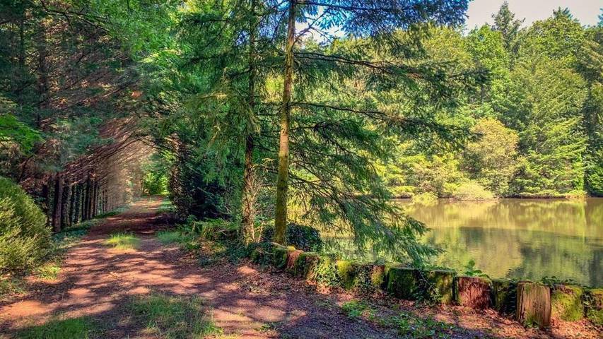Location de vacances pour 6 personnes, avec Terrasse ainsi que Jardin et Piscine à Saint-Pierre-de-Frugie - 3