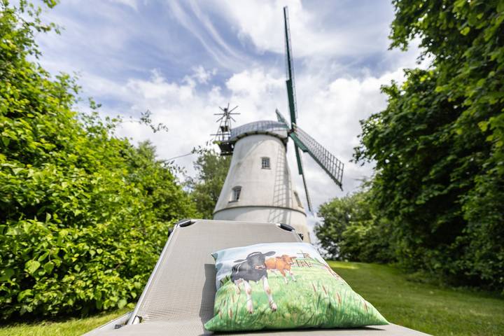 Ferienhaus für 6 Personen, mit Garten in Cuxhaven - 2