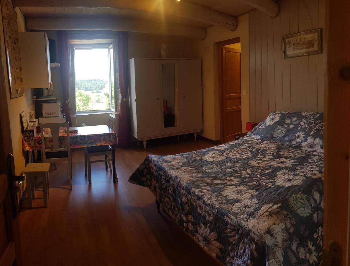 Double Room with Garden View in Saint-Paulien (Haute-Loire), Haute-Loire